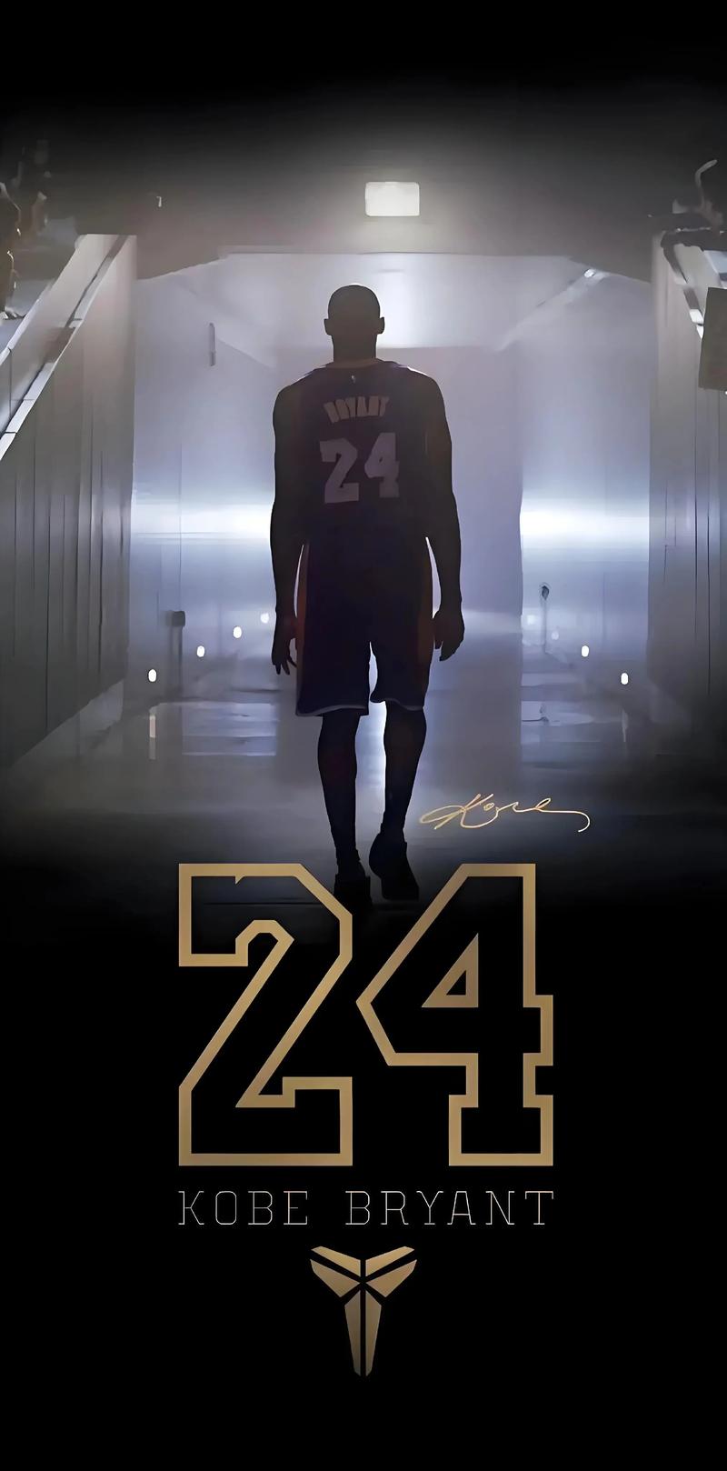 世界篮球五大最强国家分析（全球篮球五强国实力盘点）